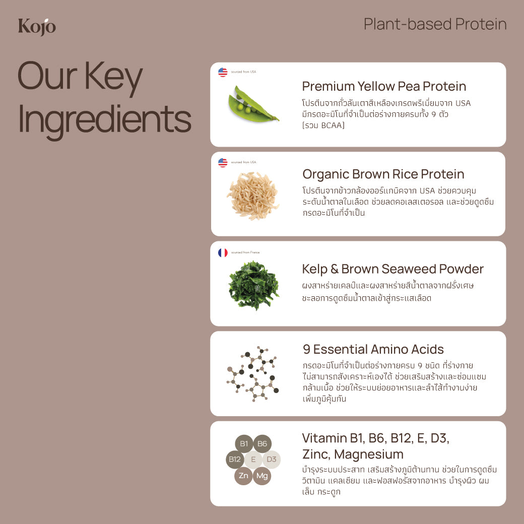 Choc Malt Flavour : Kojo Plant Based Protein