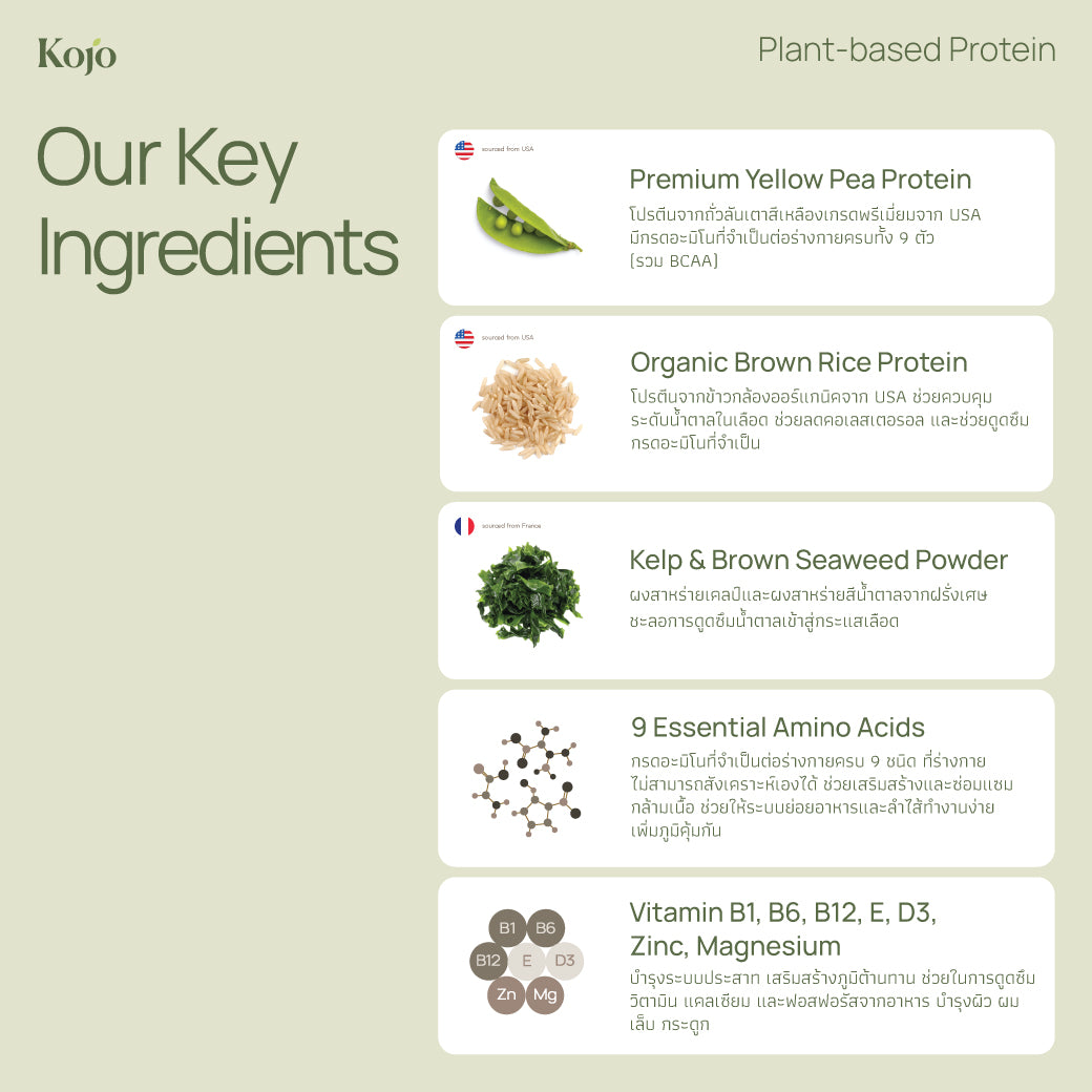 Green Apple Flavour : Kojo Plant Based Protein