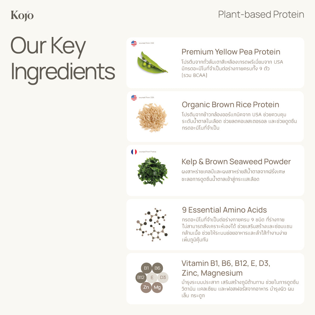 Hojicha Flavour : Kojo Plant Based Protein