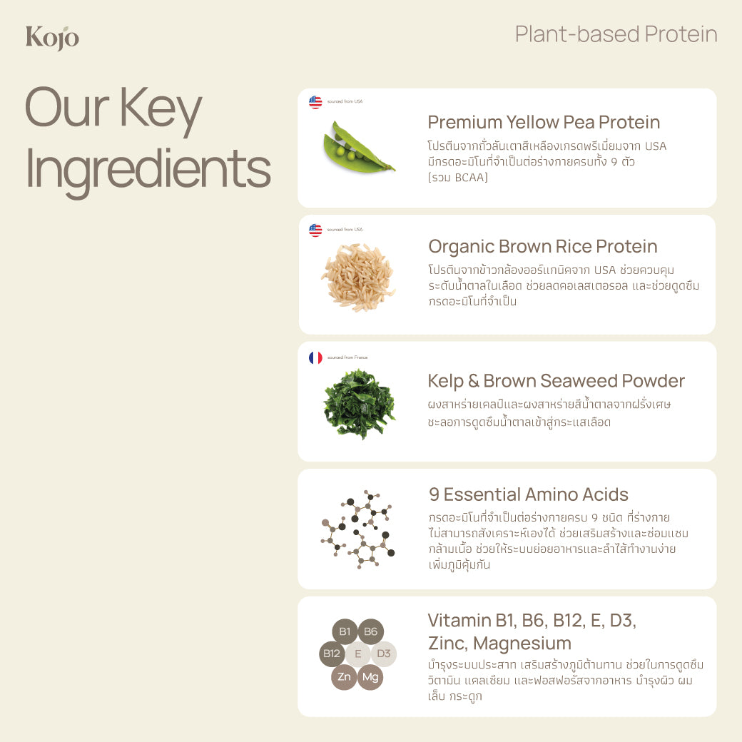 Original Flavour : Kojo Plant Based Protein
