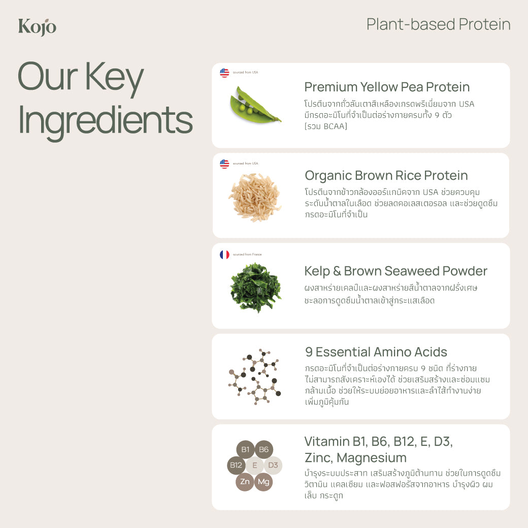 Yoghurt Flavour : Kojo Plant Based Protein