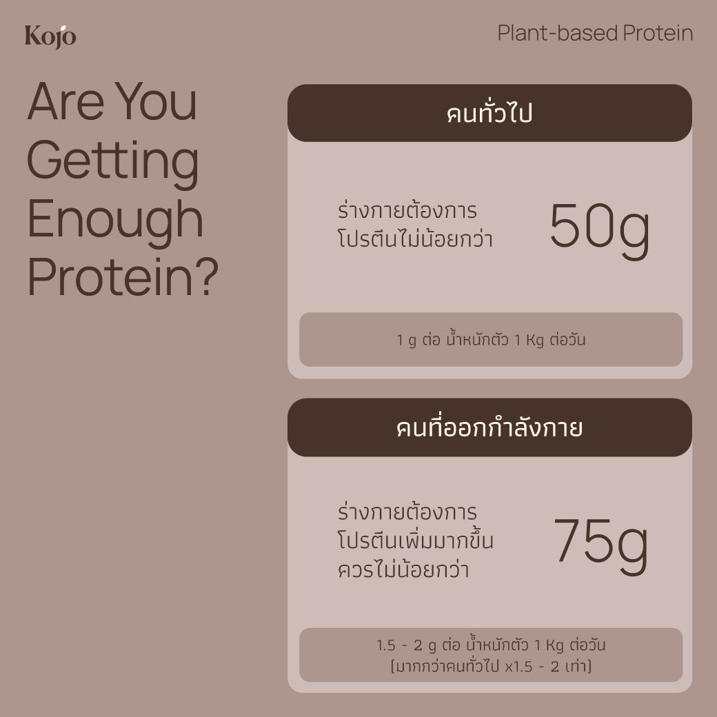 Choc Malt Flavour : Kojo Plant Based Protein
