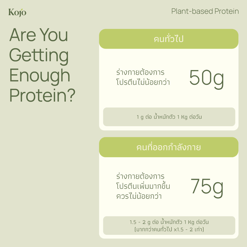 Green Apple Flavour : Kojo Plant Based Protein