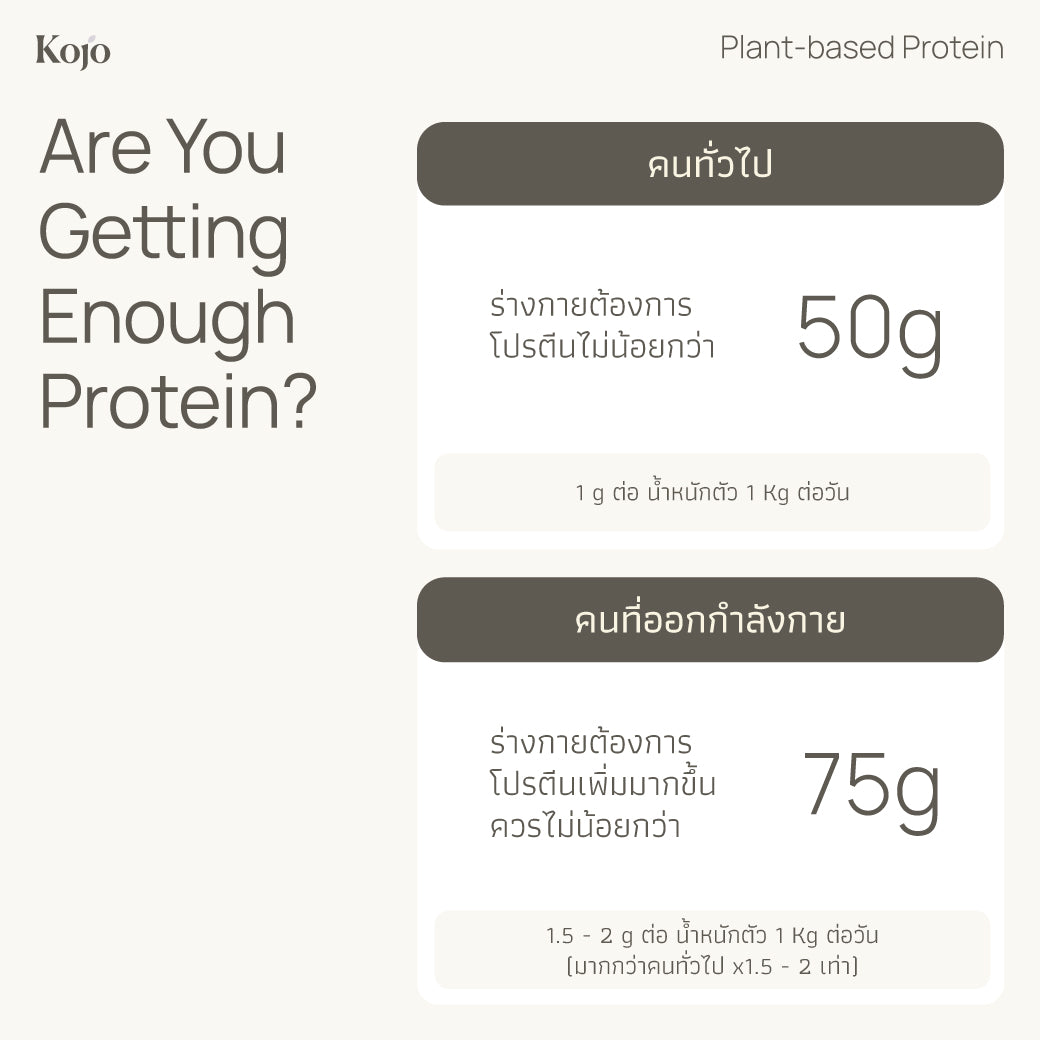 Hojicha Flavour : Kojo Plant Based Protein