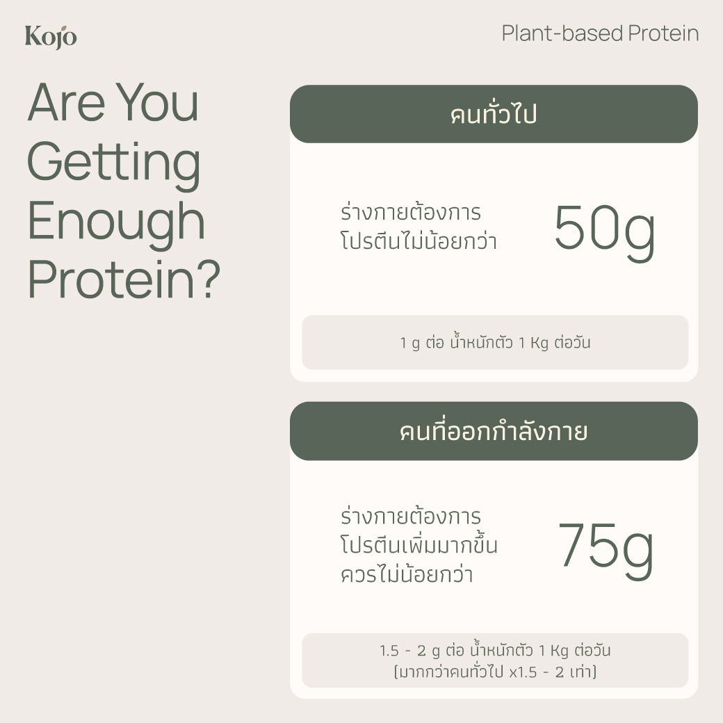 Yoghurt Flavour : Kojo Plant Based Protein