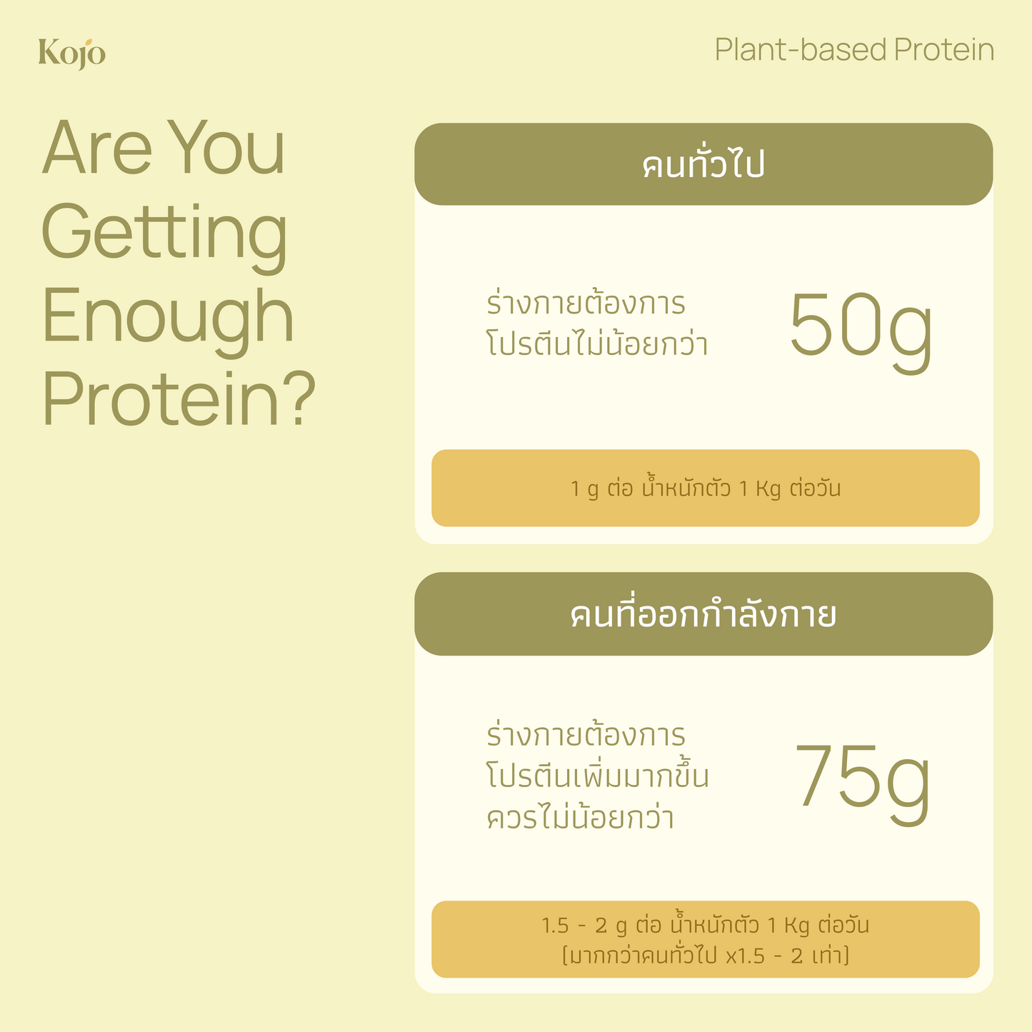 Avocado Honey Flavour : Kojo Plant Based Protein