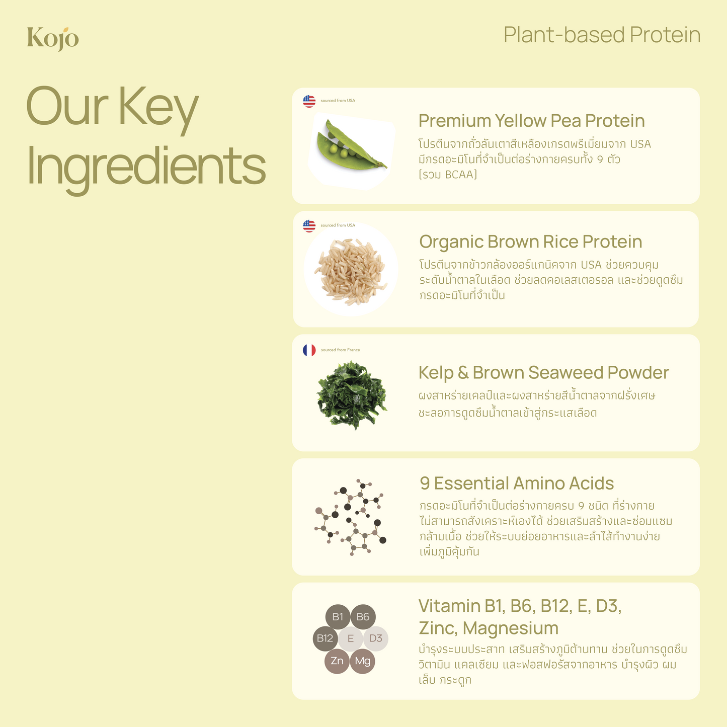 Avocado Honey Flavour : Kojo Plant Based Protein