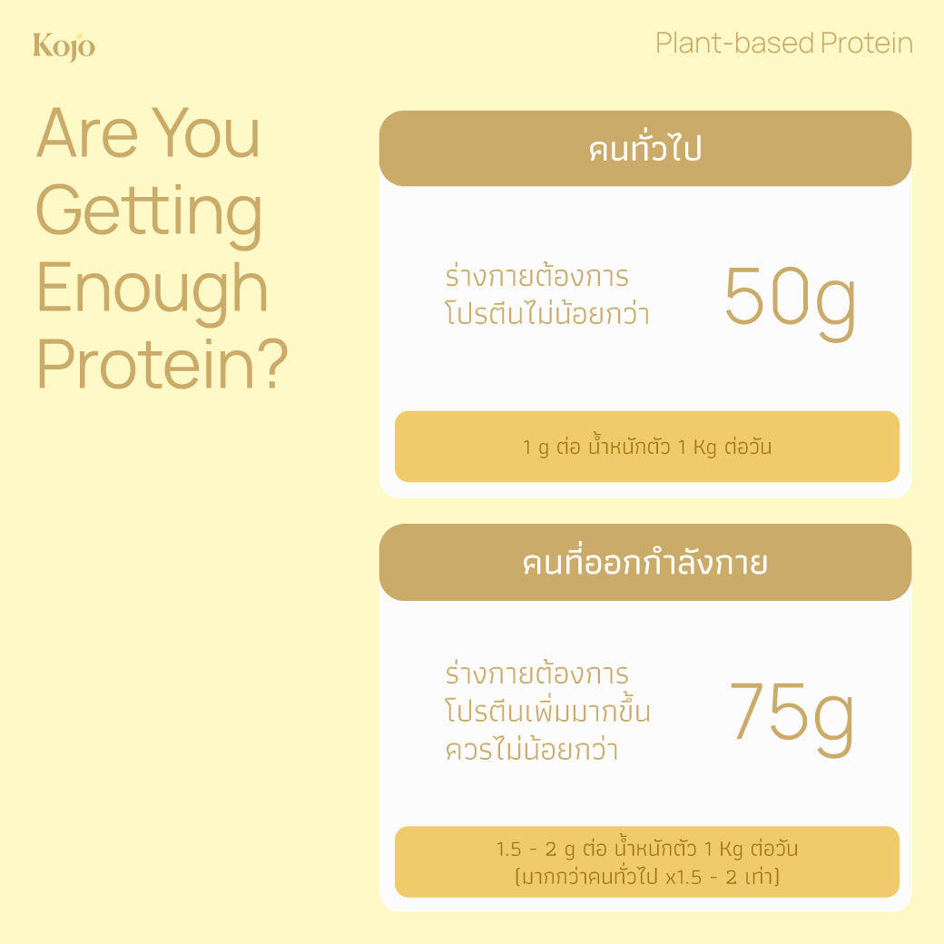 Banana Milk Flavour : Kojo Plant Based Protein