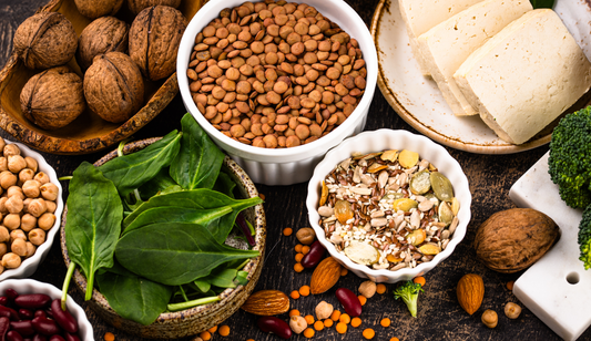 plant based protien source