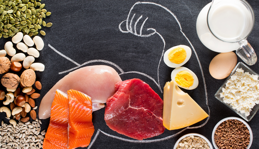 plant protein build muscle