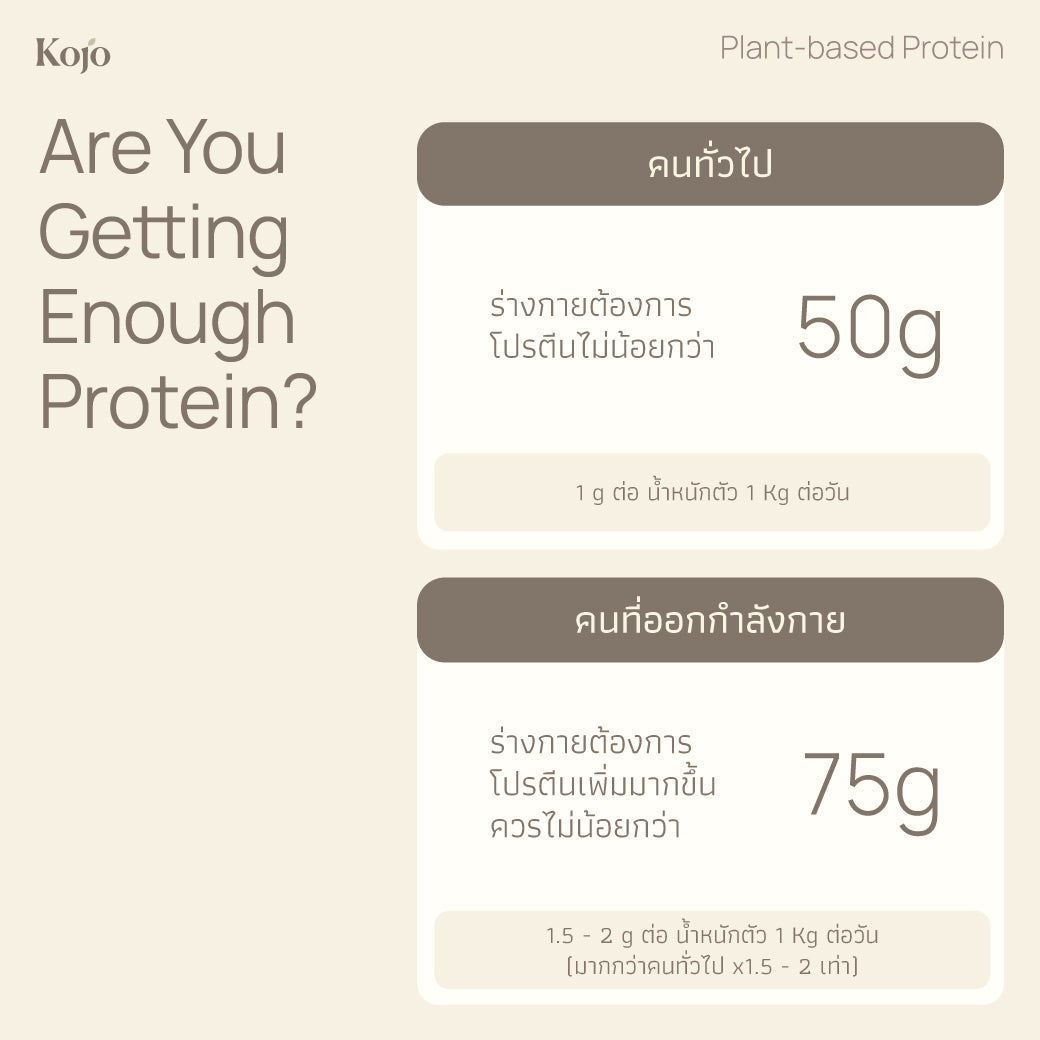 Original Flavour : Kojo Plant Based Protein