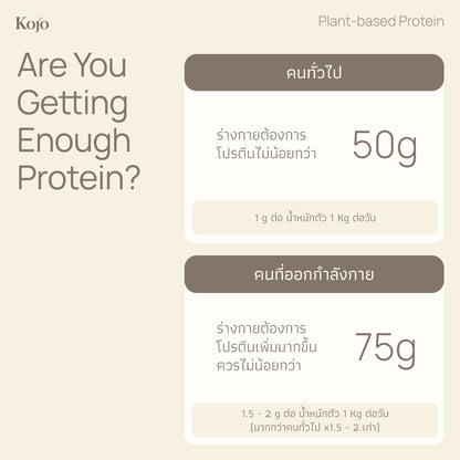 Original Flavour : Kojo Plant Based Protein