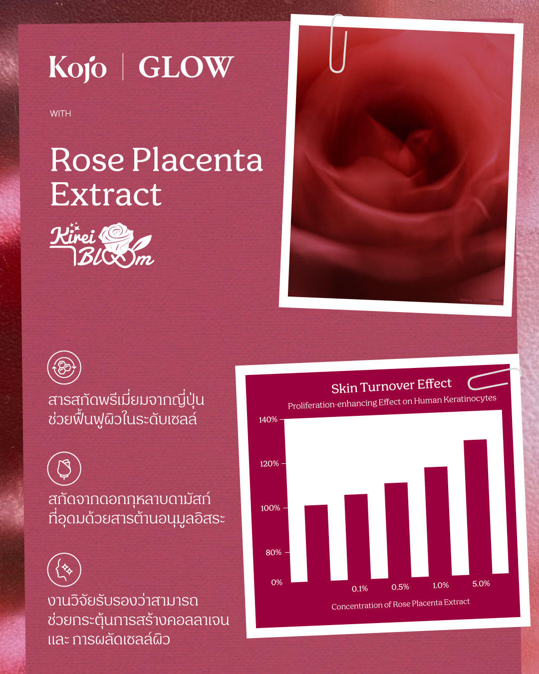 Kojo Glow Plant based Protein : 1 bag 510g